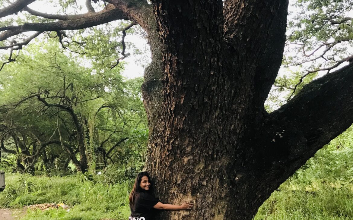 Day 58 – Trees – The Living Gods