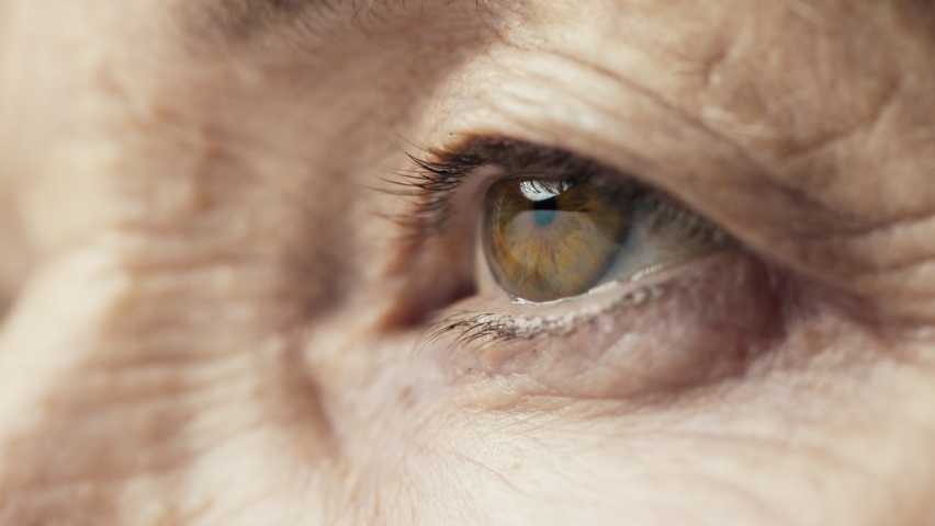 Perfect Vision