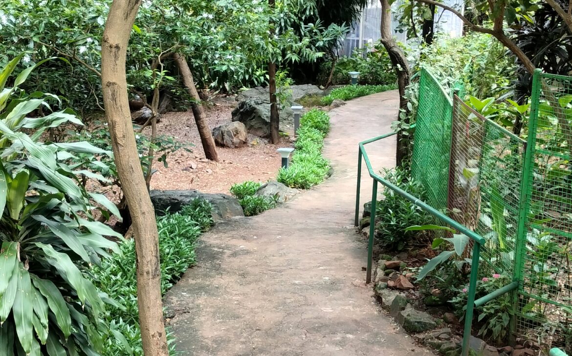The Path